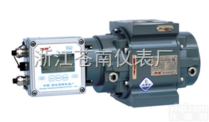 上海燃气<em>计量表</em>、上海气体流量计、气体<em>罗茨</em>流量计LLQZ-80Z