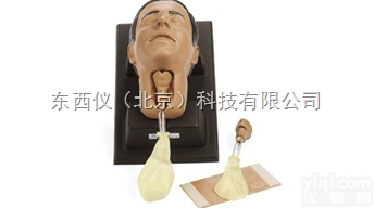 wi1551  wi1551 环甲膜<em>穿刺</em>和切开<em>模型</em>