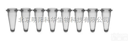 <em>北京</em> ABI 4304437 TaqMan <em>Universal</em> PCR...