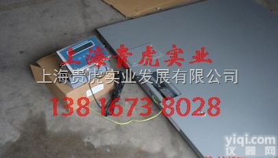 EX-GH-SCS  防爆<em>平台</em>称三吨，防爆三吨<em>平台</em>称<em>价钱</em>