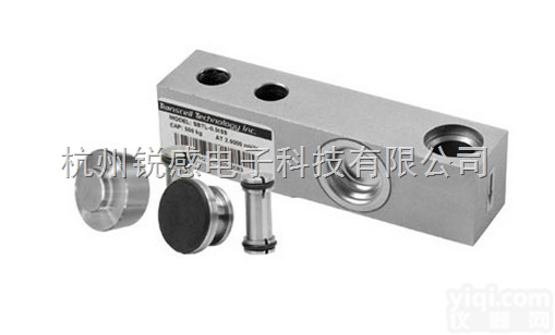 Transcell <em>SBS</em>  <em>美国</em>Transcell <em>SBS</em><em>悬臂梁</em>传感器