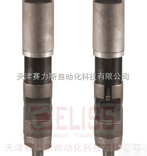 全  <em>美国</em><em>RUELCO</em>压力开关