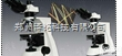LW300PT/B  地质勘探透射偏光<em>显微镜</em>/科研<em>机构</em>专用透射偏光<em>显微镜</em>