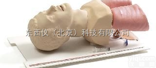 wi1522  <em>气道</em>管理<em>模型</em>和<em>气道</em>解剖<em>模型</em>
