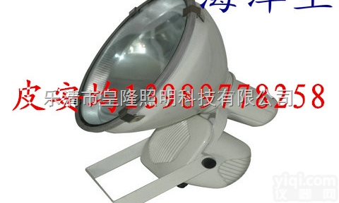 ZT6900B  <em>海洋</em>王<em>防爆灯</em> ZT6900B防水防尘防震投光灯 <em>海洋</em>王灯具