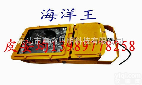 BFC8110  BFC8110防爆<em>泛光灯</em> <em>防爆灯具</em>