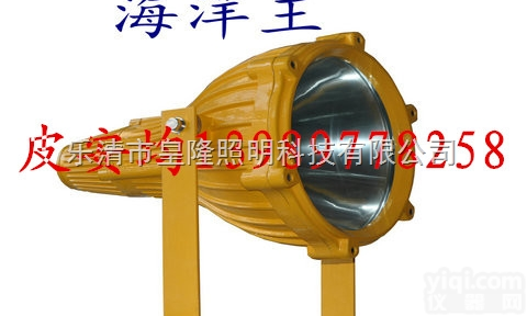 BTC8210  BTC8210 防爆投光灯  <em>海洋</em>王<em>防爆灯具</em>