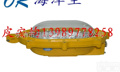 BFC8120  <em>防爆灯</em>具  BFC8120<em>内场</em><em>强光</em><em>防爆灯</em>
