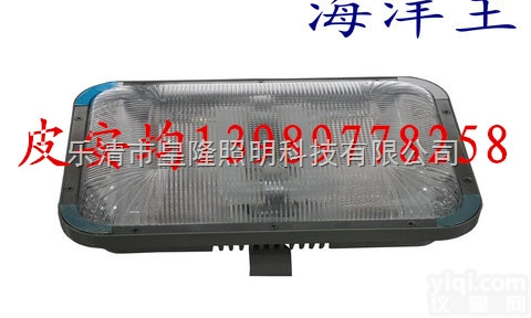 <em>NFC9175</em>  温岭<em>海洋</em>王  <em>NFC9175</em>长寿顶灯