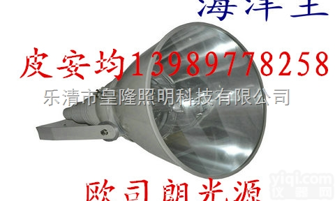 NTC9200  NTC9200防震型<em>投光灯</em>  <em>防爆灯具</em>