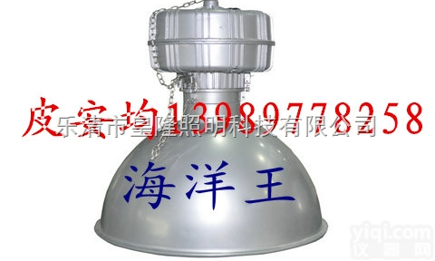 NGC9810  NGC9810高<em>顶灯</em>  <em>海洋</em>王高<em>顶灯</em>