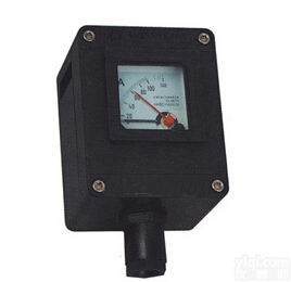 <em>防爆防腐仪表箱</em>