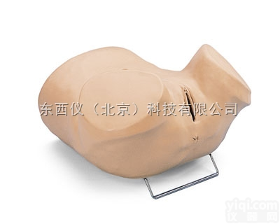 wi1469  wi1469<em>宫腔镜</em><em>检查</em>模型