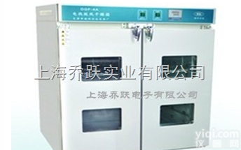 DGF-4AB  <em>高温电热鼓风干燥箱</em>，JOYN（品Pai）热风循环烘箱，上海松江电热鼓风干燥...