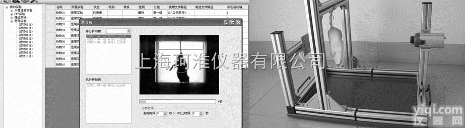 ZH-XWT<em>悬尾实验</em><em>视频分析</em><em>系统</em>