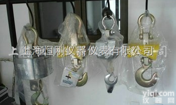 电子<em>吊钩</em>秤  <em>无锡</em>抗静电10吨电子<em>吊钩</em>秤