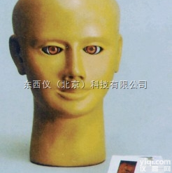 wi1163  wi1163<em>高级眼内视网膜病变检查模型</em>