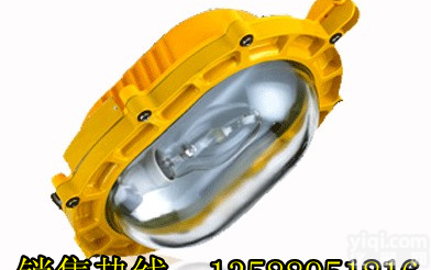 BC9100  隔爆型防爆灯-工业防爆照明灯-<em>防爆灯具</em>