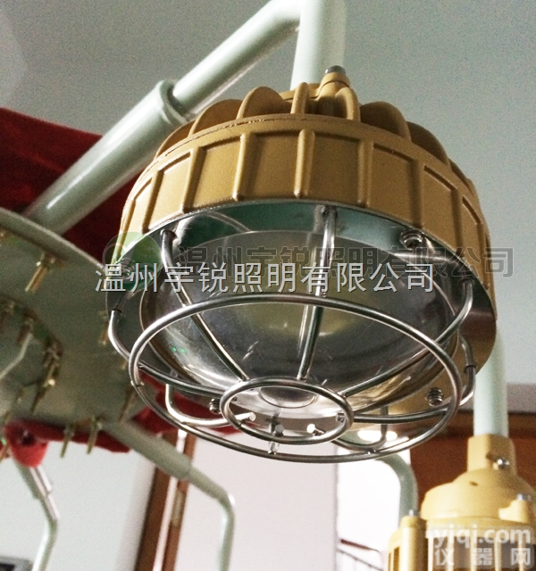 RFI3650  20W隔爆灯 led光源 节能<em>防爆</em>灯 <em>煤气站</em>灯