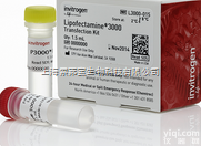 <em>现货</em>|life原装 3000 <em>Transfection</em> <em>Reagent</em>