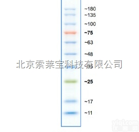 <em>彩虹</em>180<em>广谱</em>蛋白marker，<em>彩虹</em>marke