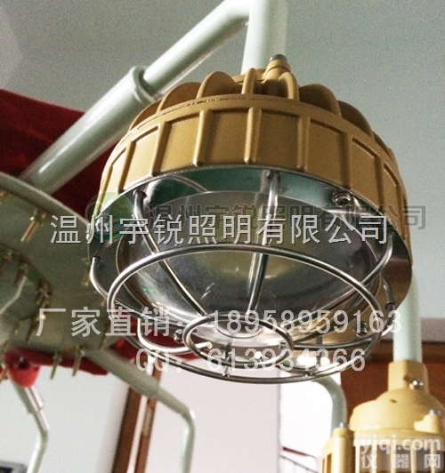 RFI3650-30W  30W圆形<em>防爆</em>灯 <em>LED</em><em>节能</em>隔爆厂家30瓦