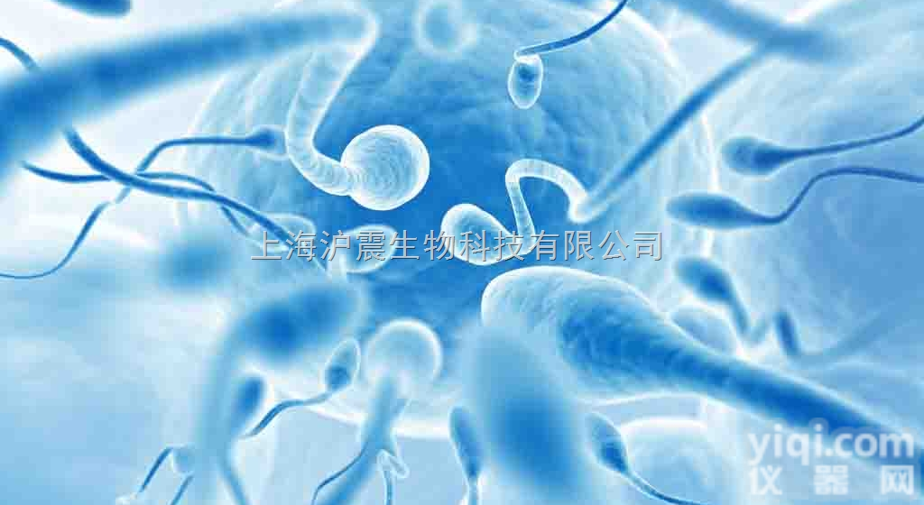 血<em>细胞</em>瘤<em>细胞</em>系 Ramos<em>细胞</em>