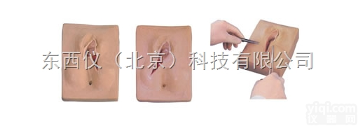 wi929  高级<em>外阴</em><em>缝合</em>练习模型