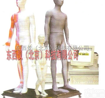 wi810  wi810<em>头部</em>四功能<em>针灸</em><em>腧穴</em>模型（20cm）