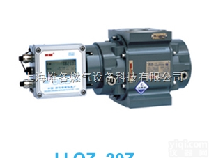 LLQZ-20A  上海、苍南、西安榆林铜川咸阳<em>延安</em>宝鸡苍南智能型气体罗茨<em>流量计</em>腰轮<em>流量计</em>