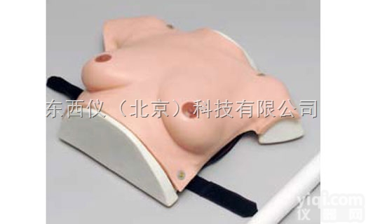 wi770  wi770高级<em>着装</em>式<em>乳房</em><em>自检</em>模型