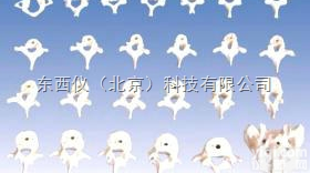 wi708  wi708<em>椎骨</em>功能变化示教<em>模型</em>（颈、胸、腰椎骶骨<em>模型</em>）