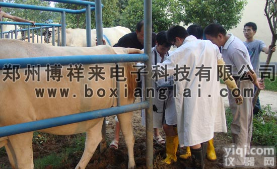 <em>兽用</em>B超检查<em>动物</em>胃  <em>兽用</em>B超检查<em>动物</em>胃内异物的方法和图像-博祥来<em>兽用</em>B超