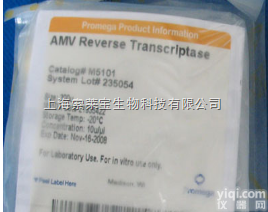 哪里卖<em>Promega</em>原装 AMV <em>Reverse</em> Transcript...