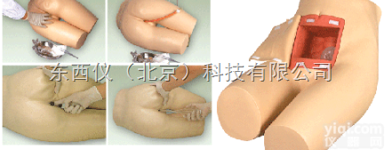 wi471  wi471高级<em>灌肠</em>和辅助<em>排便</em>训练<em>模型</em>