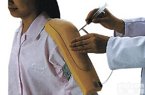 KAH-S6  <em>高级电子上臂肌肉注射训练模型</em>