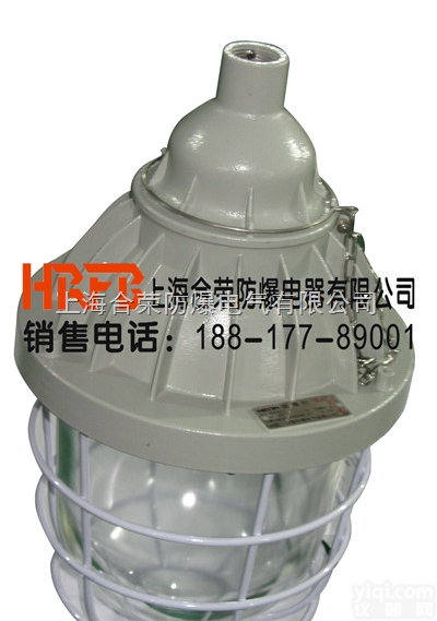 BAD51系列  <em>价格便宜</em>BAD51系列隔爆型<em>防爆灯</em>