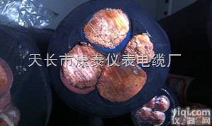 <em>康泰</em>YCW<em>电缆</em>价廉物美/4*6