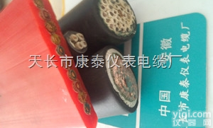 KGGPB屏蔽<em>扁平</em>电缆/8×2.5