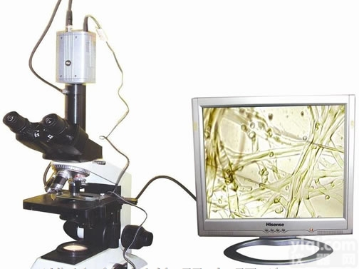 植物病虫害快速分析仪  青岛<em>植物病虫害检测设备</em>，临沂植物病害速测仪，烟台植物病虫害检测仪器