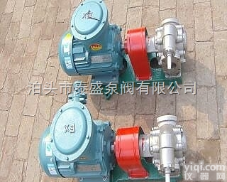 专业生产<em>KCB</em>83.3<em>齿轮泵</em> 泰盛好品质