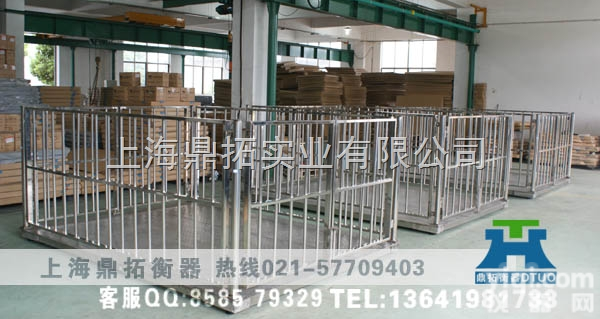 SCS  鞍山称猪/牛<em>电子秤</em>，带栏<em>牲畜</em>秤，2吨电子<em>动物</em>秤