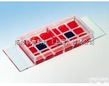 81806  易必迪ibidi 细胞共<em>培养</em> u-<em>Slide</em> 2x9 well