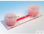 80106  易必迪 ibidi 细胞<em>培养</em> u-<em>Slide</em> I