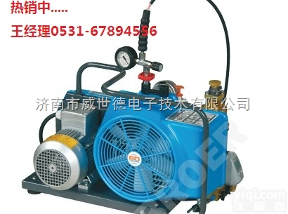 JII3E-H  德国<em>宝华</em><em>充气泵</em>充气机型号JII3E-H