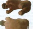 KAH-CW  <em>腰椎</em><em>穿刺</em>训练仿真标准化病人（标准<em>体位</em>）