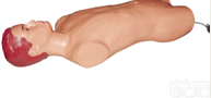KAH-GDC  <em>股动脉穿刺模拟人</em>
