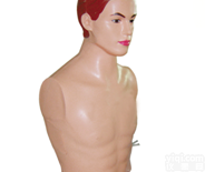 KAH-SRD  <em>上颌窦穿刺训练模型</em>