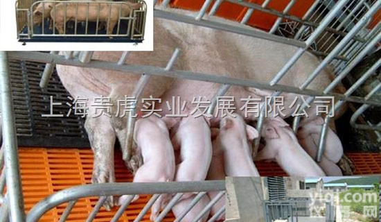 GH-SCS  河北称猪<em>地磅</em>称，<em>牲畜</em>场<em>地磅</em>