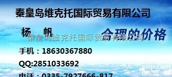 <em>荷兰</em>ENFM<em>压力表</em>，ENFM温度计